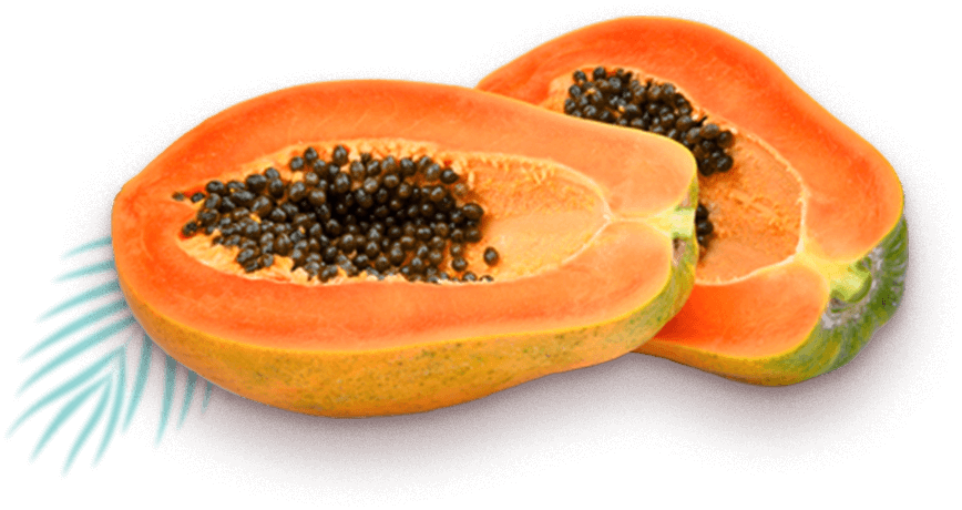 Australian Papaya